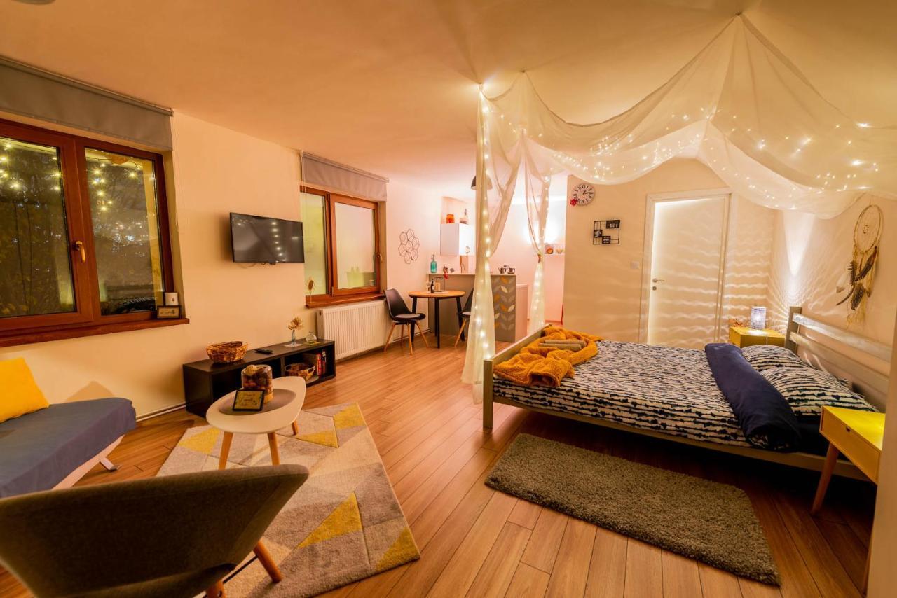 Dragonfly Studio With Garden Braşov Exterior foto