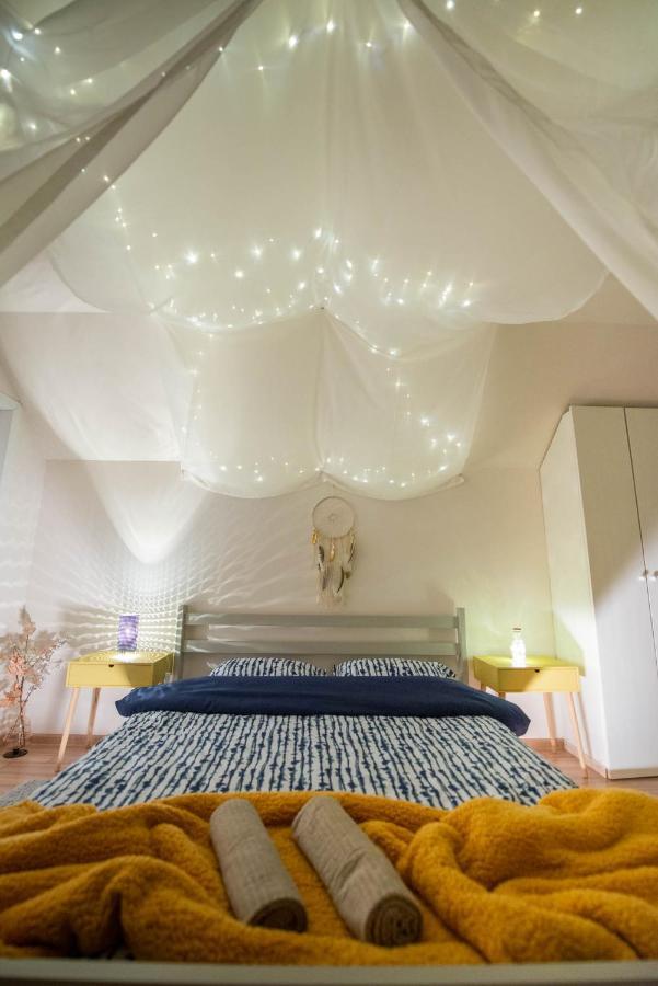 Dragonfly Studio With Garden Braşov Exterior foto