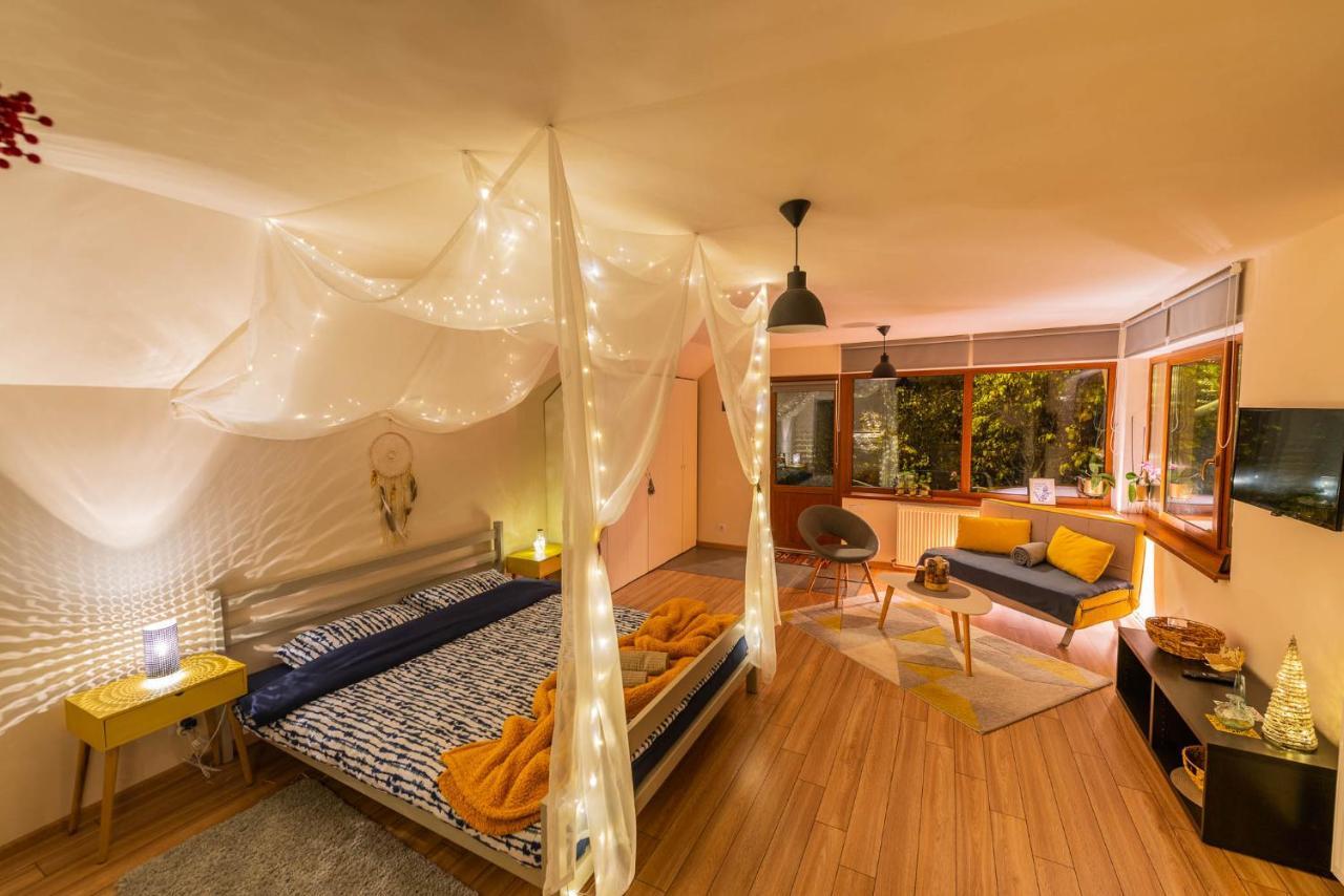 Dragonfly Studio With Garden Braşov Exterior foto
